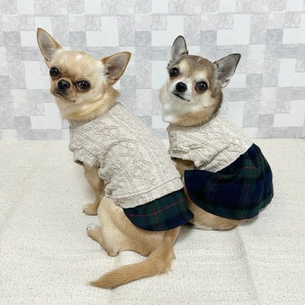 【犬服セミオーダー】パピー犬服小型犬服ロング犬服中型犬服 モカアランニット犬服タータンチェックワンピース