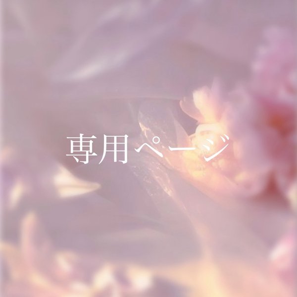 chr-chii 様専用ページ🌸