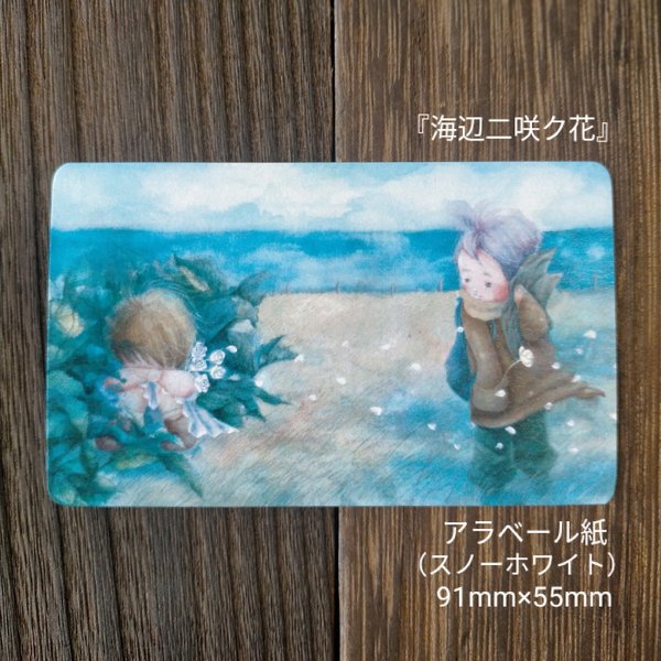 message card 『海辺二咲ク花』