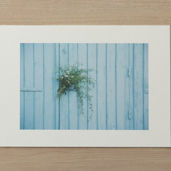 「Plant Photography」マーメイド プリント 001