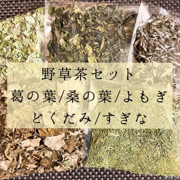 野草茶5種セット(どくだみ、すぎな、よもぎ、桑の葉、葛の葉)