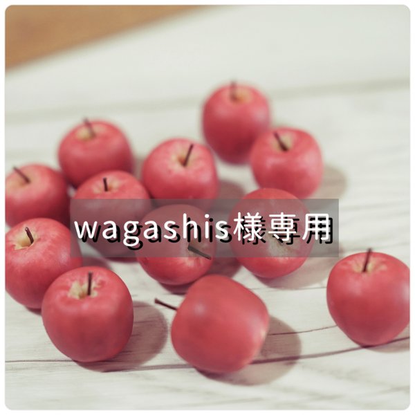 wagashis様専用ページ