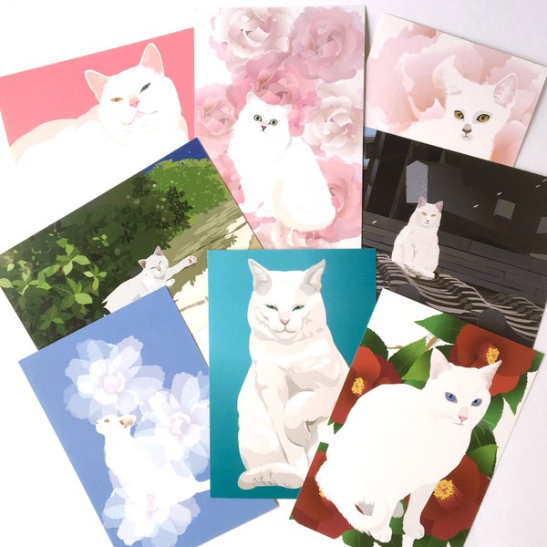 白猫ポストカード8枚セット