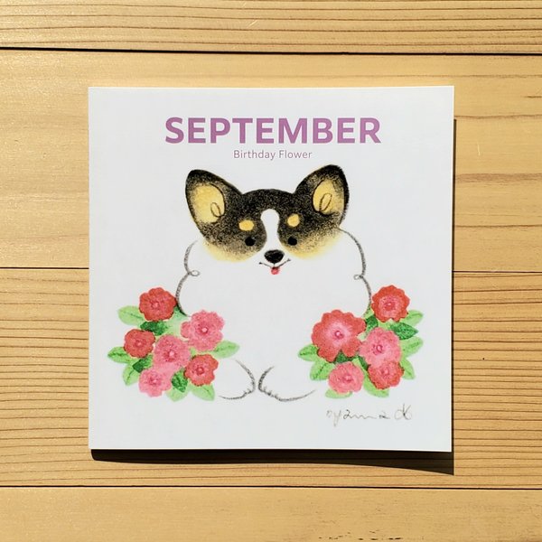 ９月の誕生花集「SEPTEMBER」