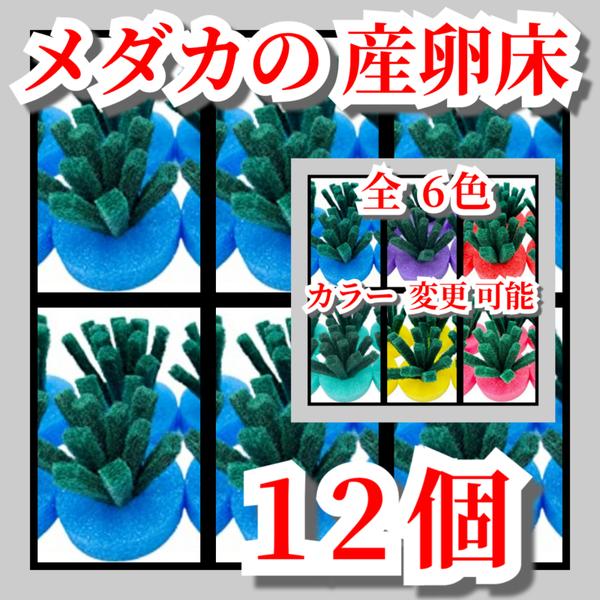 メダカの 産卵床  ブルー (青)  研磨剤不使用