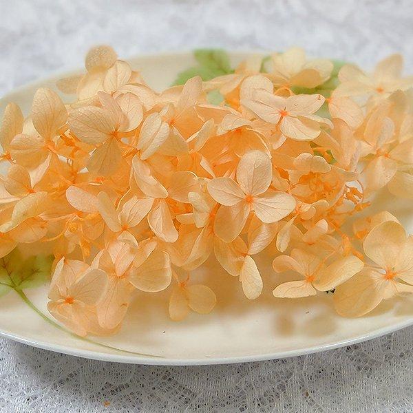 ピラミッド紫陽花　あじさい　アジサイ　プリザーブド　オレンジ