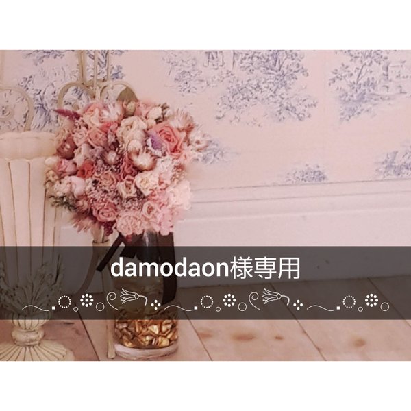 【damodamon様専用】