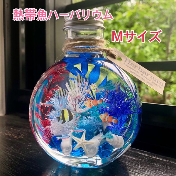 熱帯魚ハーバリウム  ネコ瓶  Mサイズ  C 【注文制作】