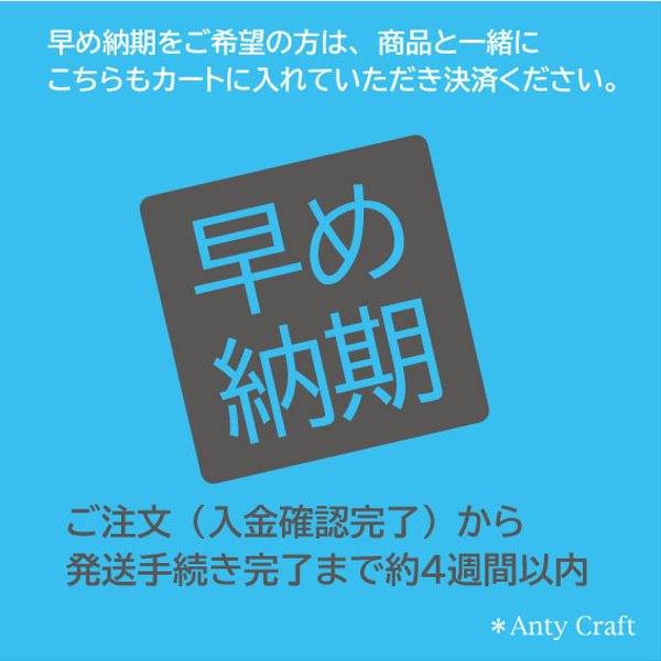 【早め納期】ご希望のお客様はご購入ください。 必ず商品説明をご一読ください 