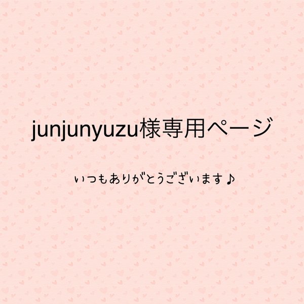 junjinyuzu様専用ページ