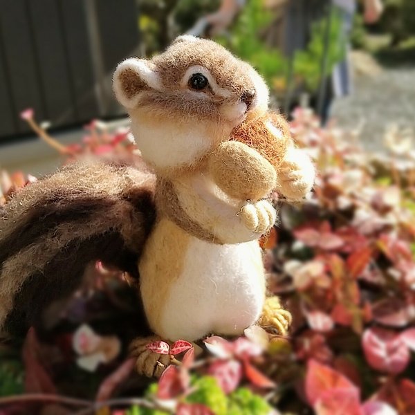 羊毛フェルト どんぐり🐿️シマリス🐿️