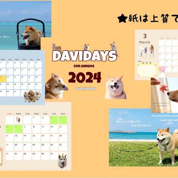 2024年カレンダー　柴犬ダビデ