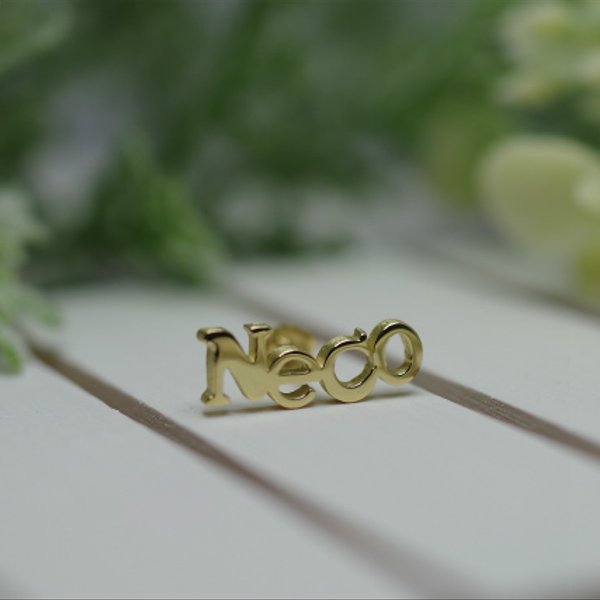 Neco pierced earrings (K14 plating)　-lb4×Necology-