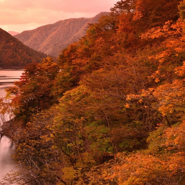 Ａ4　写真　プリント　徳山ダム