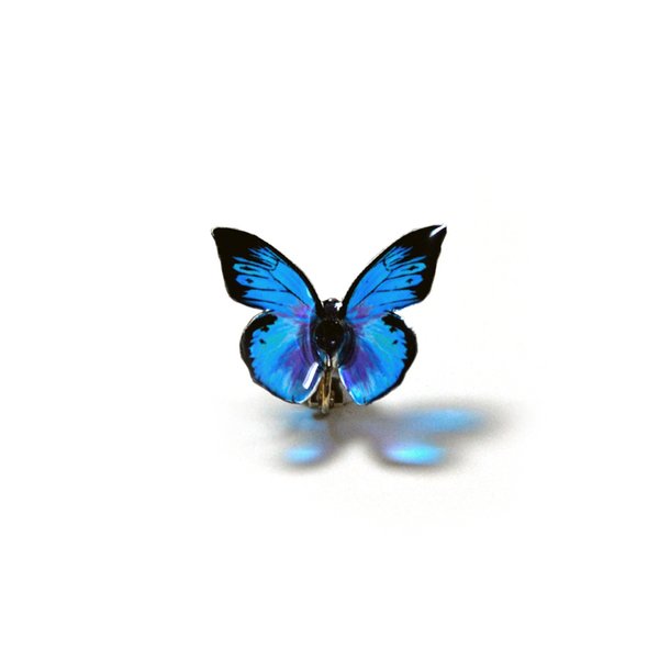 耳にとまる透ける蝶のイヤリング(シロ蝶系-青)