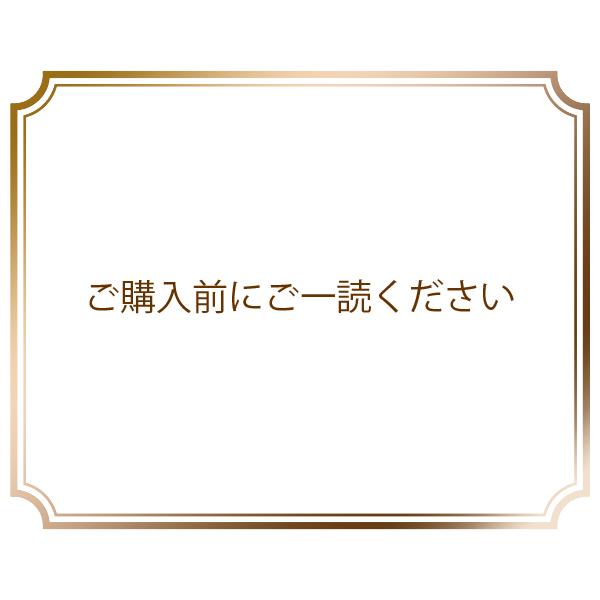 ※※※ご購入にご一読ください※※※