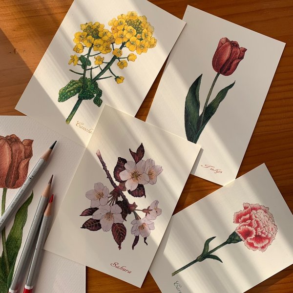 選べる！組合せ自由ポストカード【Basic Flowers　春（4柄のうち）４枚 】封筒付