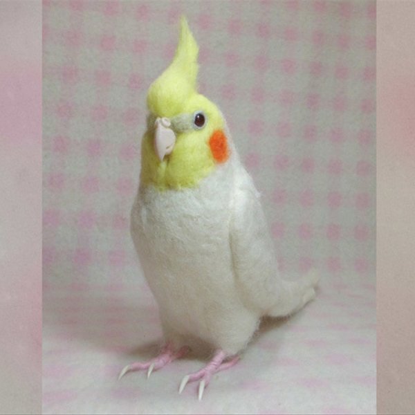 リアルサイズ オカメインコ ルチノ－ 濃赤目  羊毛フェルト 鳥のオブジェ 羊毛インコ オーダー 受注作成品