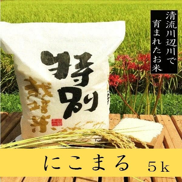 新米令和5年産　特別栽培米にこまる5ｋg　熊本県相良村産　精白米　