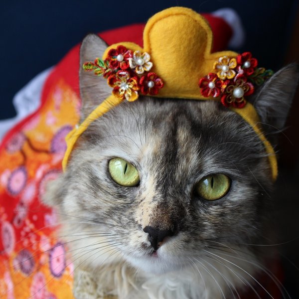 猫用 ひな祭りセット