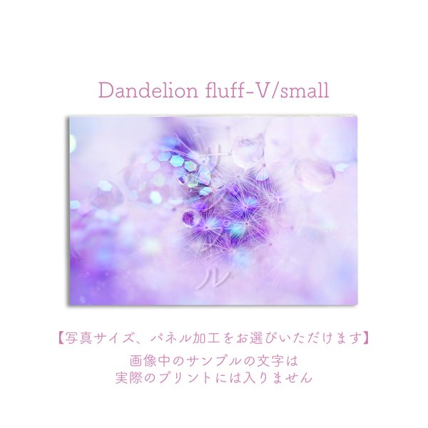 Dandelion fluff-V/smallポスター【写真サイズ、パネル加工をお選びいただけます】 