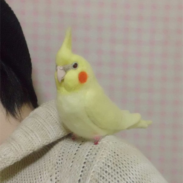 一緒にお散歩♪ 羊毛フェルト オカメインコ クリップ / イエロ－ルチノ－ (クリップから足へ変更作成可）リアルサイズ♪ 鳥のオブジェ リアルバード 受注制作