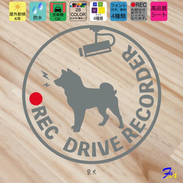 柴犬 ⑨ ドライブレコーダー ステッカー ドラレコ