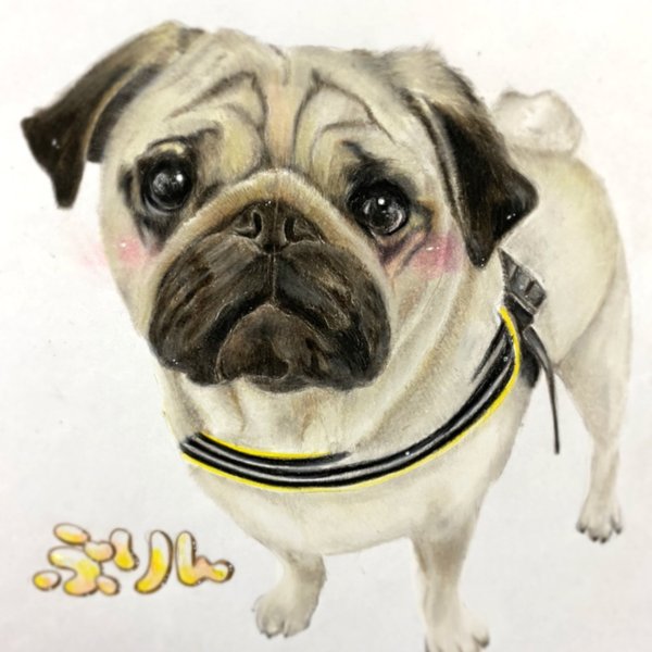 パグ イラストのハンドメイド 手作り通販 Minne 日本最大級のハンドメイドサイト パグ イラストのハンドメイド 手作り通販 Minne 日本最大級のハンドメイドサイト