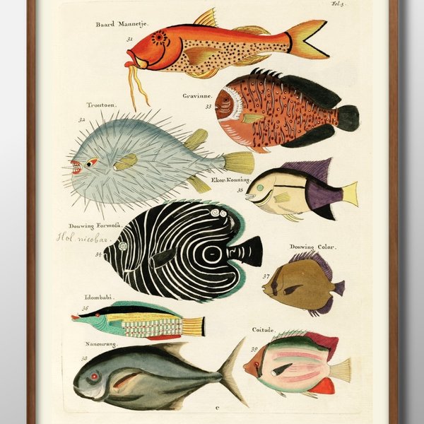 0079■A3アートポスター『魚図鑑　サカナ　海洋生物』絵画/イラスト/デザイン/上級マット紙採用