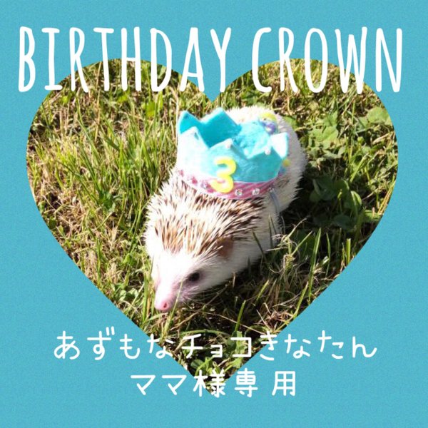 【あずもなチョコきなたんママ様専用】ハリネズミ お誕生日 王冠 帽子 クラウン Birthday crown👑×1点