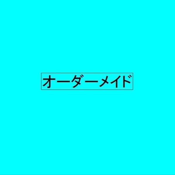 R様専用パタパタ扉収納ラック