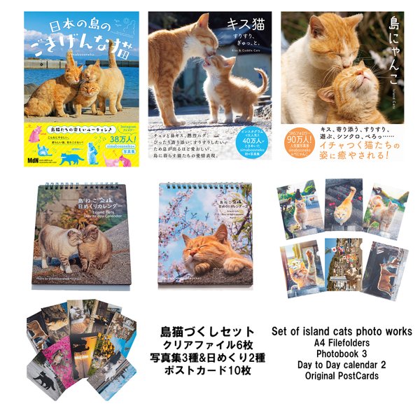 島猫づくしセット　set of Island cats photo works