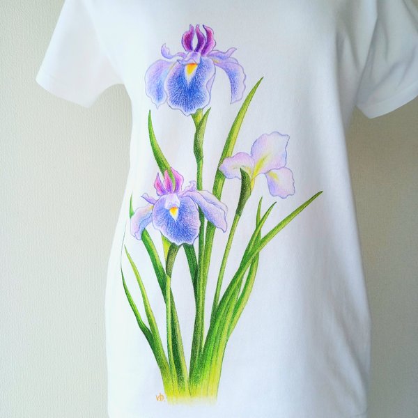 手描き　花菖蒲Tシャツ