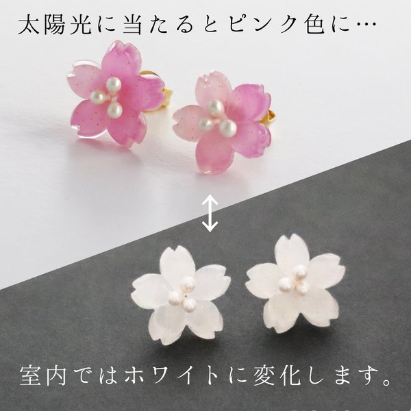 色が変わる＊桜の一粒ピアス