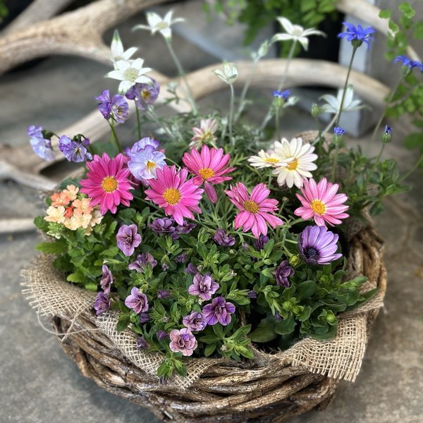 【2023mother’s day Garden gift】