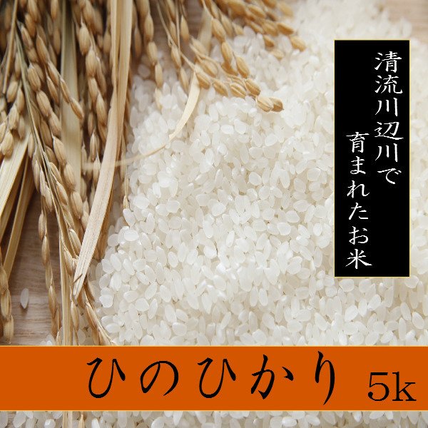 令和5年産新米　ひのひかり5ｋg　熊本県相良村産　精白米　　