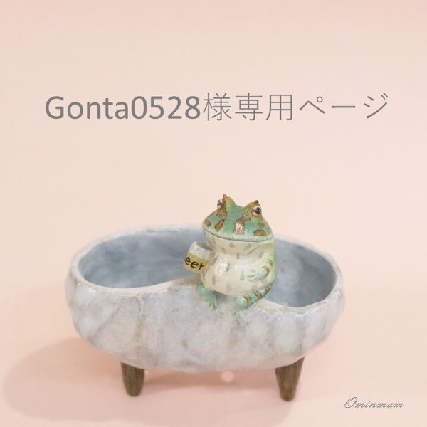 ビールを呑むツノガエルさんの植木鉢(gontao528様専用ページ）