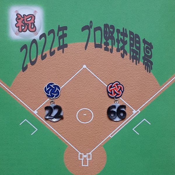 中日　プロ野球１２球団水引⚾　中日ドラゴンズ🐨