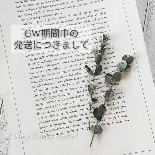 【GW期間中の発送につきまして】