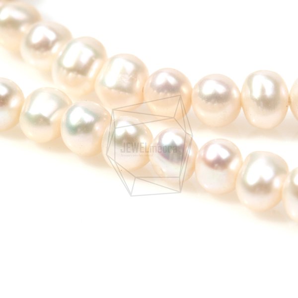 PEA-003-C【1Roll】淡水パール,Cream Fresh Water Pearl