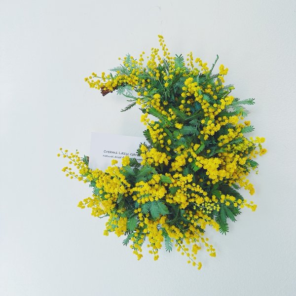 【Mimosa】14花咲きミモザの三日月リース2024  crescent wreath