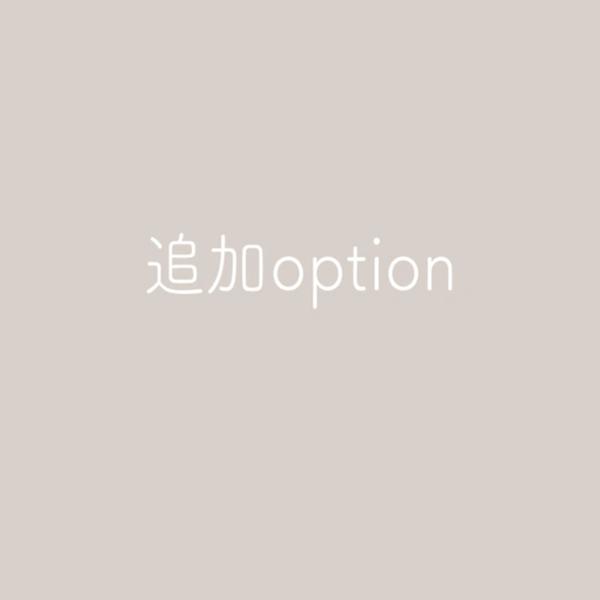 追加option