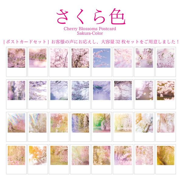 桜のポストカード32枚セット vol.1-4SET [ さくら色 ] 
