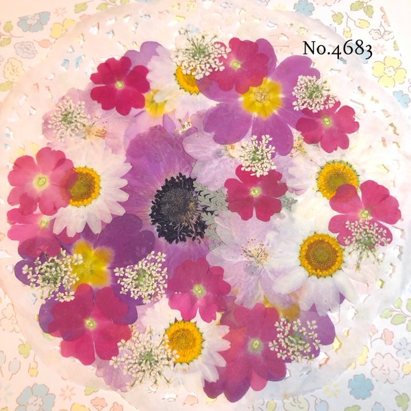 ♡new♡作家様必見♡押し花MIXセット♡押し花セット