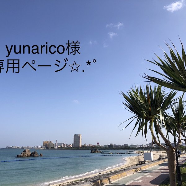 yunarico様専用ページ✩.*˚