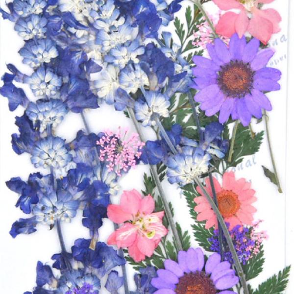 ドライフラワー　押し花　DIY用　紫系ミックス