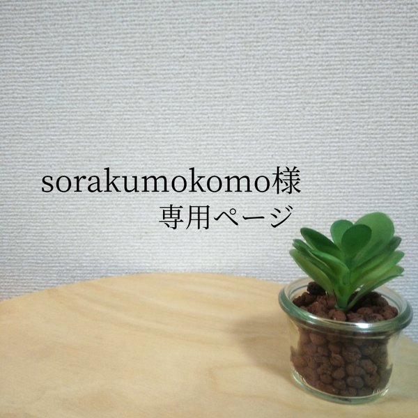 sorakumokomo様専用ページ