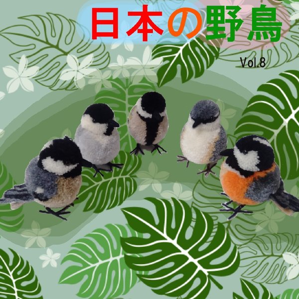 ぽんぽんでつくる日本の野鳥Vol.8