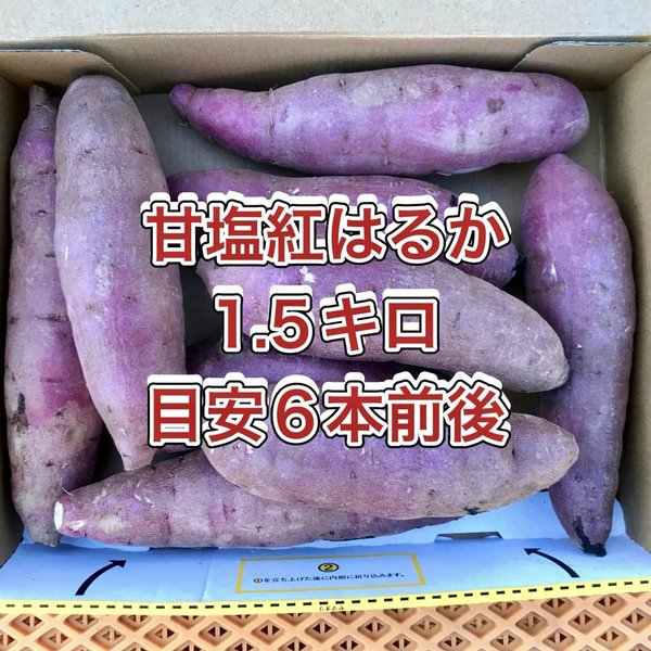 【鹿児島産】甘塩サツマイモ箱込み1.5キロ^_^