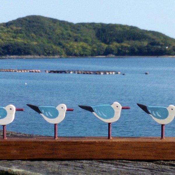 カモメのみなさん